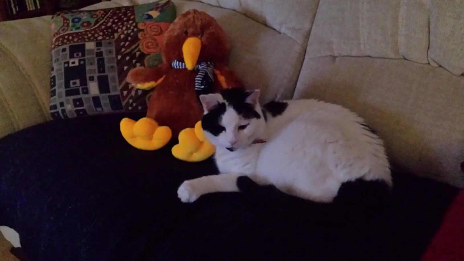 J22 marshall knows somethings happening   22 oct 2017 (2)